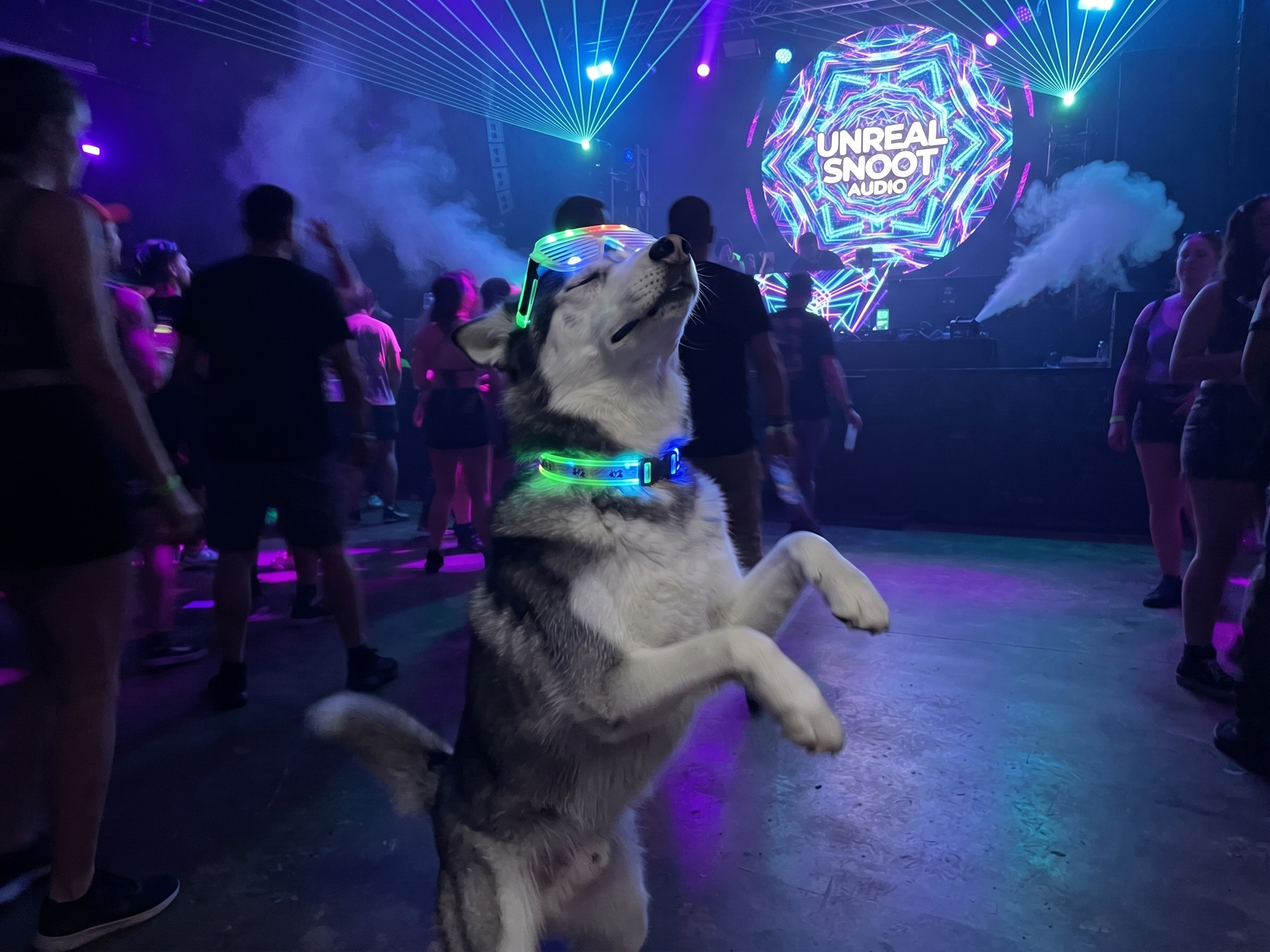 Jackson on the dancefloor at the rave, surrounded by neon lights and a crowd